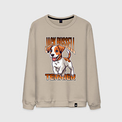 Мужской свитшот Собака Джек-рассел-терьер