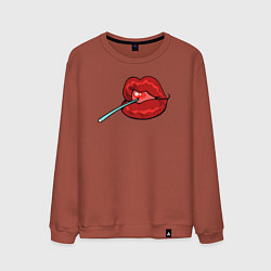 Свитшот хлопковый мужской Candy lips, цвет: кирпичный