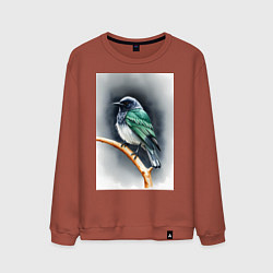 Свитшот хлопковый мужской Птичка на ветке, цвет: кирпичный