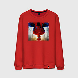 Свитшот хлопковый мужской Новый человек паук, цвет: красный