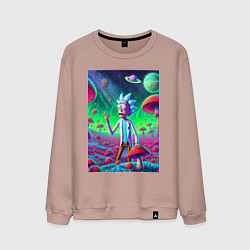 Мужской свитшот Рик потерял Морти на грибной планете