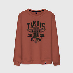 Свитшот хлопковый мужской Tardis time lord, цвет: кирпичный