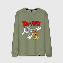 Свитшот хлопковый мужской Том и Джерри - погоня, цвет: авокадо