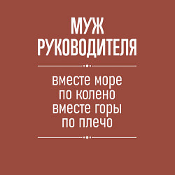 Свитшот хлопковый мужской Муж руководителя горы по плечо, цвет: кирпичный — фото 2