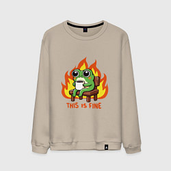 Свитшот хлопковый мужской Frog - this is fine, цвет: миндальный