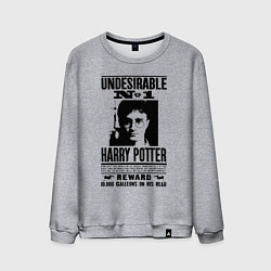 Свитшот хлопковый мужской Harry Potter - wanted, цвет: меланж