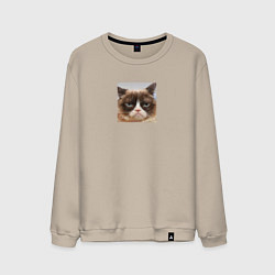 Мужской свитшот Сердитая Кошка для пары