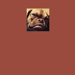 Свитшот хлопковый мужской Сердитый Песик, цвет: кирпичный — фото 2