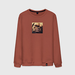 Мужской свитшот Сердитый Песик