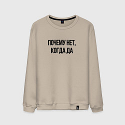 Мужской свитшот Почему нет когда да