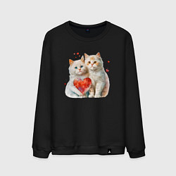 Свитшот хлопковый мужской Котята с сердцем, цвет: черный