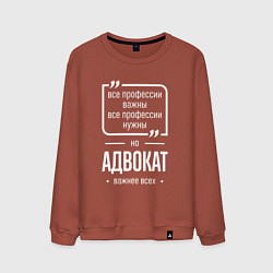 Свитшот хлопковый мужской Адвокат нужнее всех, цвет: кирпичный