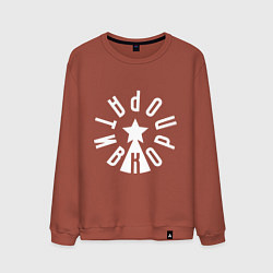 Свитшот хлопковый мужской Корпоратив, цвет: кирпичный