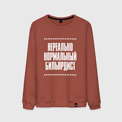 Свитшот хлопковый мужской Нормальный бильярдист нереально, цвет: кирпичный