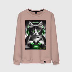 Мужской свитшот Котёнок командный геймер - киберспорт