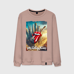 Свитшот хлопковый мужской Rolling Stones - logo-guitar, цвет: пыльно-розовый