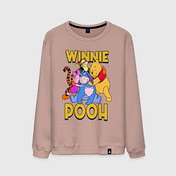 Мужской свитшот Winnie Pooh hugs