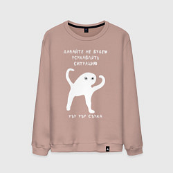 Свитшот хлопковый мужской ЪУЪ съъука Ситуация, цвет: пыльно-розовый