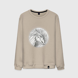 Свитшот хлопковый мужской Черепа лошадей, цвет: миндальный