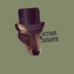 Свитшот хлопковый мужской Острый козырек, цвет: авокадо — фото 2