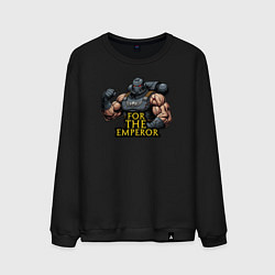 Свитшот хлопковый мужской За императора Warhammer 40k, цвет: черный