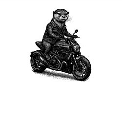 Свитшот хлопковый мужской Выдра байкер, цвет: белый — фото 2