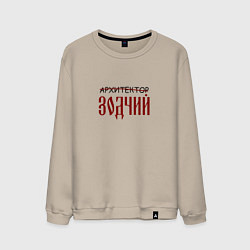Мужской свитшот Архитектор зодчий