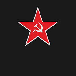 Свитшот хлопковый мужской Красная звезда СССР, цвет: черный — фото 2