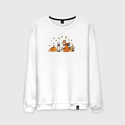 Мужской свитшот Лиса с тыквами и фонарём
