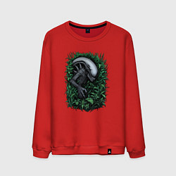 Свитшот хлопковый мужской Ксеноморф в зарослях, цвет: красный