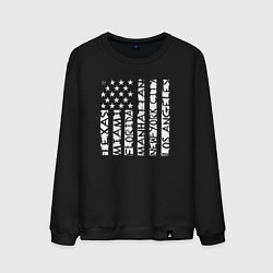 Мужской свитшот USA style