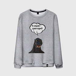 Мужской свитшот Не люблю сухой корм кот кошка