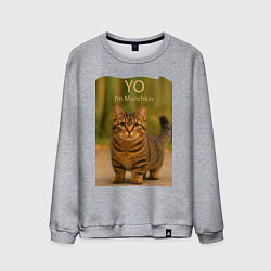 Свитшот хлопковый мужской Yo - Im Munchkin, цвет: меланж