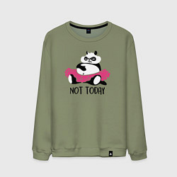 Свитшот хлопковый мужской Панда - не сегодня, цвет: авокадо