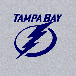 Свитшот хлопковый мужской HC Tampa Bay, цвет: меланж — фото 2