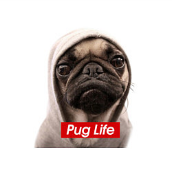 Свитшот хлопковый мужской Pug life, цвет: белый — фото 2