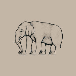 Свитшот хлопковый мужской Сколько ног у слона, цвет: миндальный — фото 2