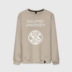 Свитшот хлопковый мужской Galligrey University, цвет: миндальный