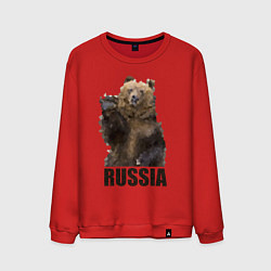 Свитшот хлопковый мужской Russia: Poly Bear, цвет: красный
