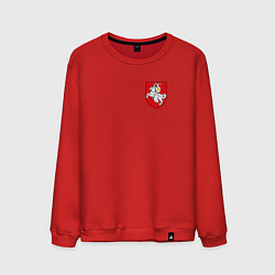 Мужской свитшот Погоня: герб