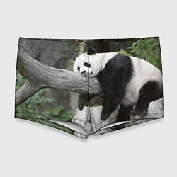 Мужские плавки Большая уставшая панда, цвет: 3D-принт