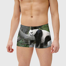 Мужские плавки Большая уставшая панда, цвет: 3D-принт — фото 2