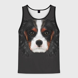 Мужская майка без рукавов Cavalier King Charles