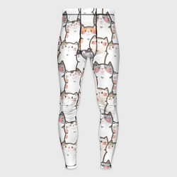 Тайтсы мужские Кошки котики коты, цвет: 3D-принт