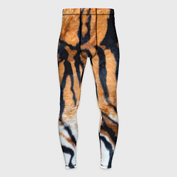 Тайтсы мужские Шкура тигра Новый год 2022, цвет: 3D-принт