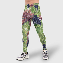 Тайтсы мужские Кисти Винограда, цвет: 3D-принт — фото 2