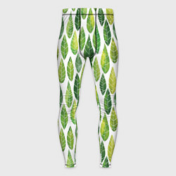 Тайтсы мужские Акварельные листья, цвет: 3D-принт