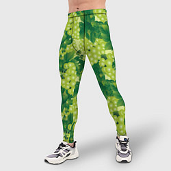 Тайтсы мужские Виноградный паттерн, цвет: 3D-принт — фото 2
