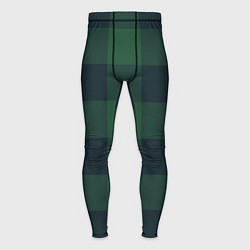 Тайтсы мужские Дождевой лес тартан ирландский, цвет: 3D-принт