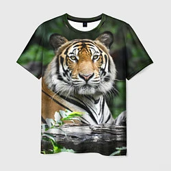 Футболка мужская Тигр в джунглях, цвет: 3D-принт